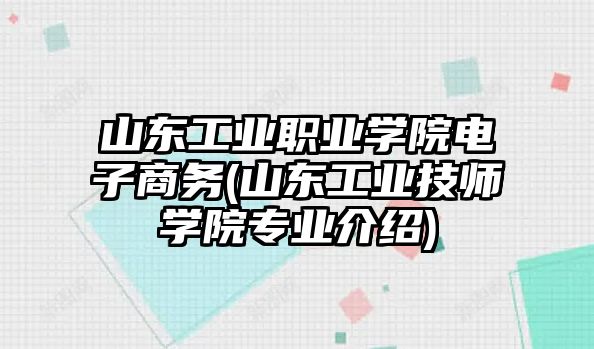 山東工業(yè)職業(yè)學(xué)院電子商務(wù)(山東工業(yè)技師學(xué)院專業(yè)介紹)