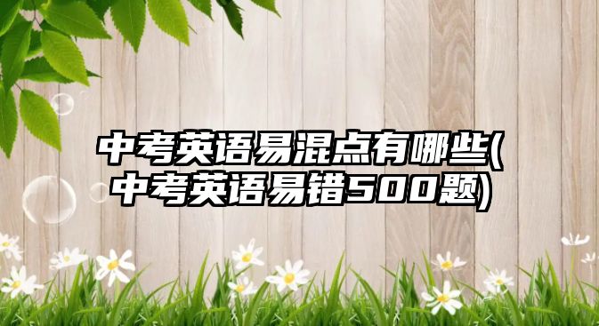 中考英語易混點有哪些(中考英語易錯500題)