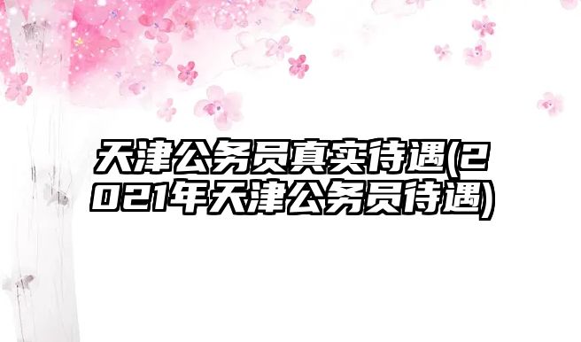 天津公務(wù)員真實待遇(2021年天津公務(wù)員待遇)