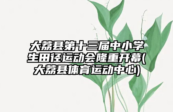 大荔縣第十三屆中小學(xué)生田徑運(yùn)動(dòng)會(huì)隆重開幕(大荔縣體育運(yùn)動(dòng)中心)