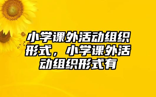 小學(xué)課外活動組織形式，小學(xué)課外活動組織形式有