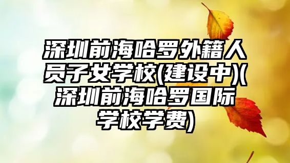 深圳前海哈羅外籍人員子女學(xué)校(建設(shè)中)(深圳前海哈羅國(guó)際學(xué)校學(xué)費(fèi))