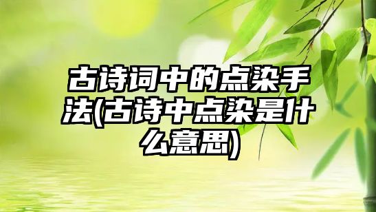 古詩詞中的點染手法(古詩中點染是什么意思)