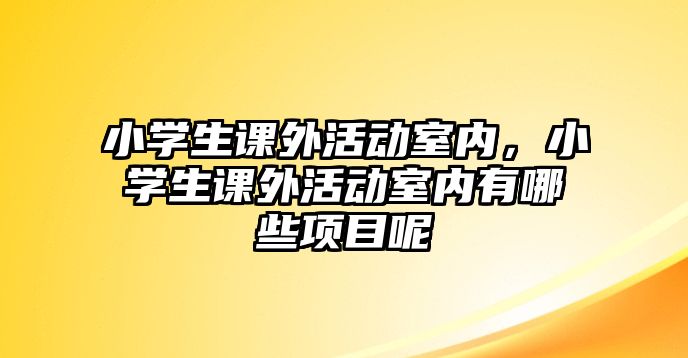 小學(xué)生課外活動(dòng)室內(nèi)，小學(xué)生課外活動(dòng)室內(nèi)有哪些項(xiàng)目呢