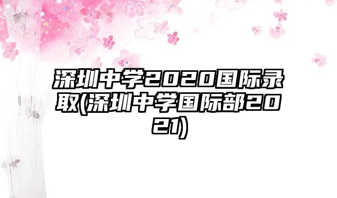 深圳中學(xué)2020國際錄取(深圳中學(xué)國際部2021)