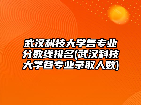 武漢科技大學各專業(yè)分數(shù)線排名(武漢科技大學各專業(yè)錄取人數(shù))