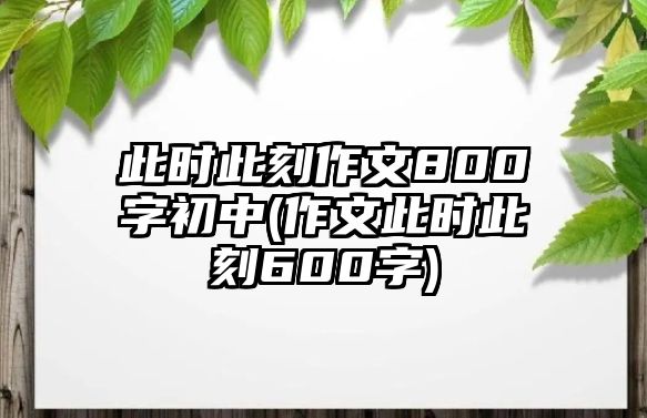 此時(shí)此刻作文800字初中(作文此時(shí)此刻600字)