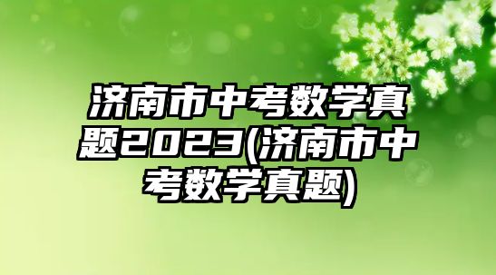 濟(jì)南市中考數(shù)學(xué)真題2023(濟(jì)南市中考數(shù)學(xué)真題)