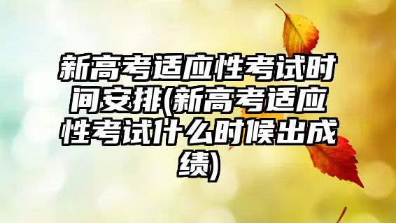 新高考適應性考試時間安排(新高考適應性考試什么時候出成績)