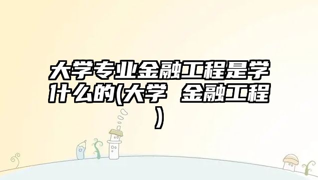 大學(xué)專業(yè)金融工程是學(xué)什么的(大學(xué) 金融工程)