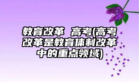 教育改革 高考(高考改革是教育體制改革中的重點(diǎn)領(lǐng)域)