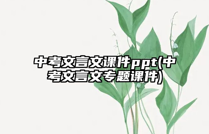 中考文言文課件ppt(中考文言文專題課件)