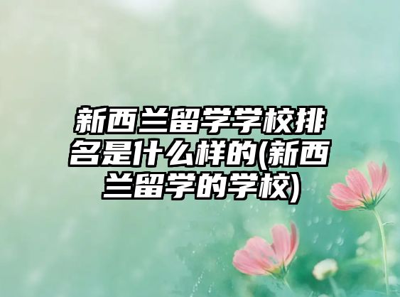 新西蘭留學學校排名是什么樣的(新西蘭留學的學校)