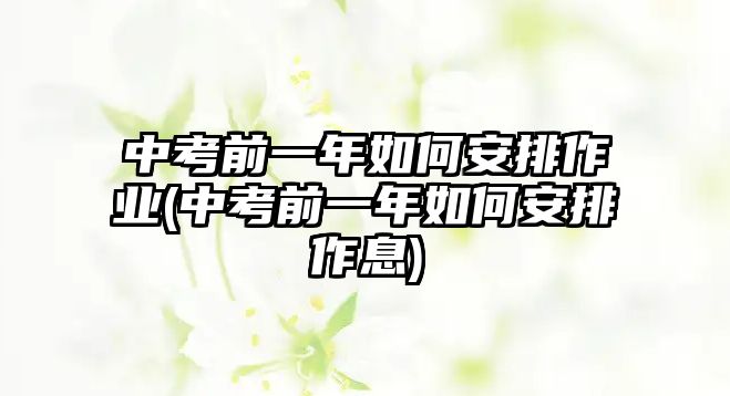 中考前一年如何安排作業(yè)(中考前一年如何安排作息)