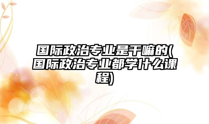 國際政治專業(yè)是干嘛的(國際政治專業(yè)都學什么課程)