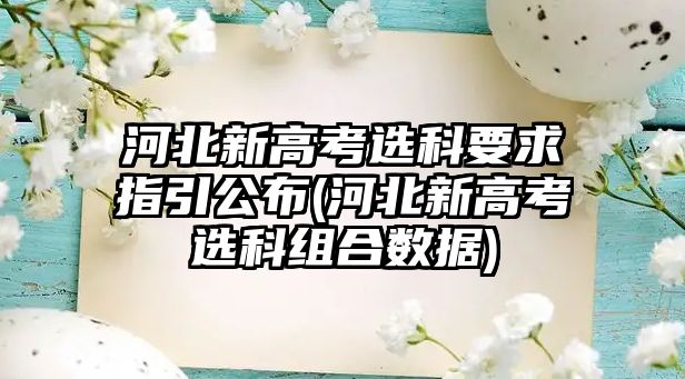 河北新高考選科要求指引公布(河北新高考選科組合數據)