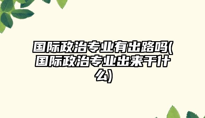 國(guó)際政治專業(yè)有出路嗎(國(guó)際政治專業(yè)出來(lái)干什么)