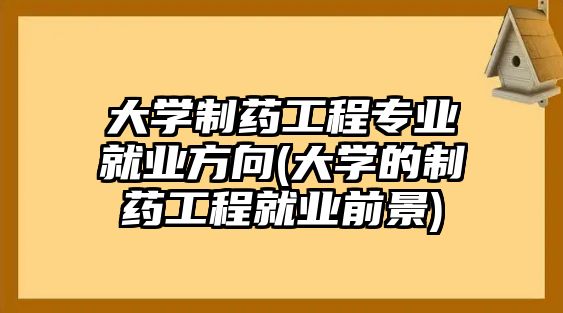 大學(xué)制藥工程專業(yè)就業(yè)方向(大學(xué)的制藥工程就業(yè)前景)