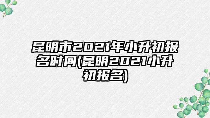 昆明市2021年小升初報(bào)名時(shí)間(昆明2021小升初報(bào)名)