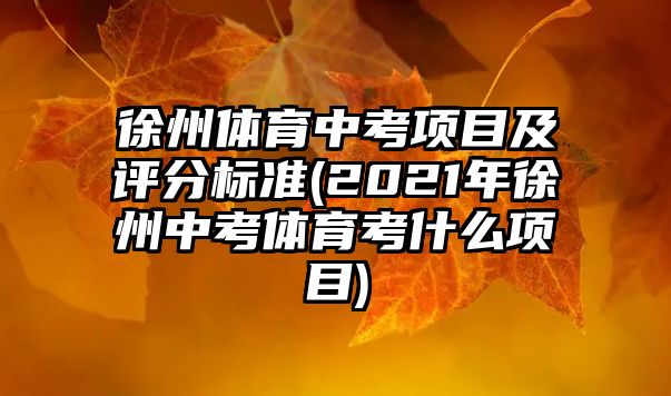 徐州體育中考項目及評分標準(2021年徐州中考體育考什么項目)