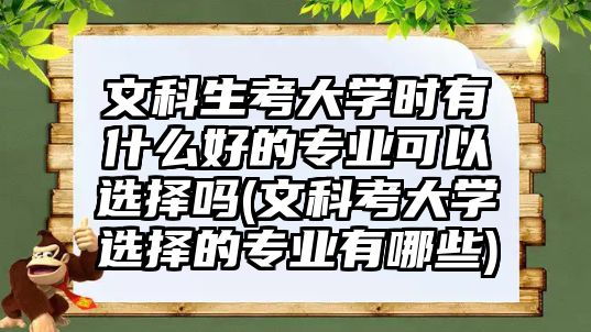 文科生考大學(xué)時有什么好的專業(yè)可以選擇嗎(文科考大學(xué)選擇的專業(yè)有哪些)