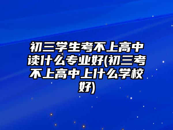 初三學(xué)生考不上高中讀什么專業(yè)好(初三考不上高中上什么學(xué)校好)