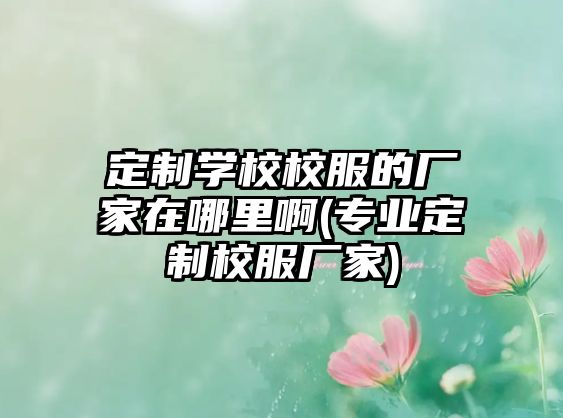 定制學(xué)校校服的廠家在哪里啊(專業(yè)定制校服廠家)