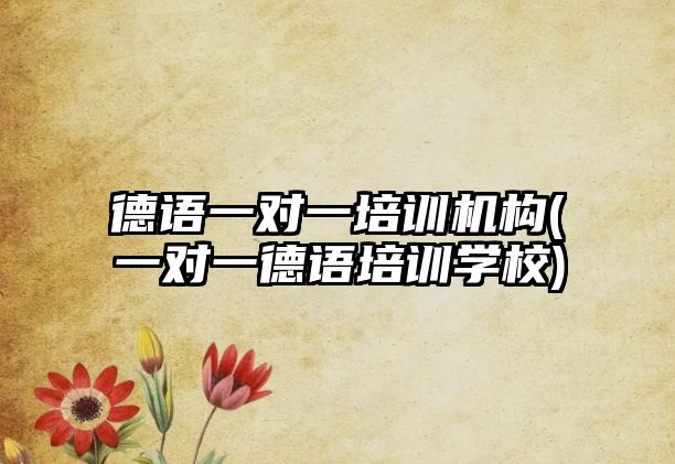 德語一對一培訓(xùn)機構(gòu)(一對一德語培訓(xùn)學(xué)校)