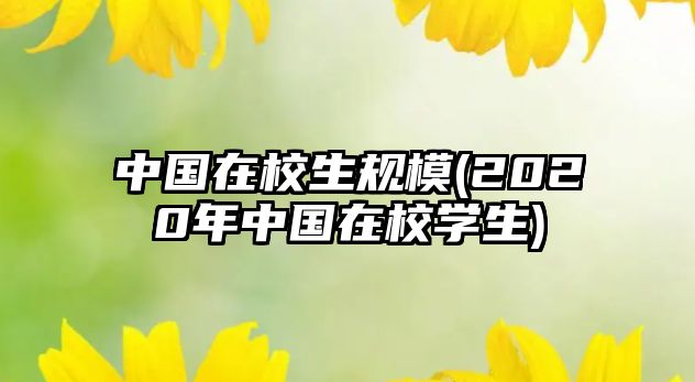 中國在校生規(guī)模(2020年中國在校學(xué)生)