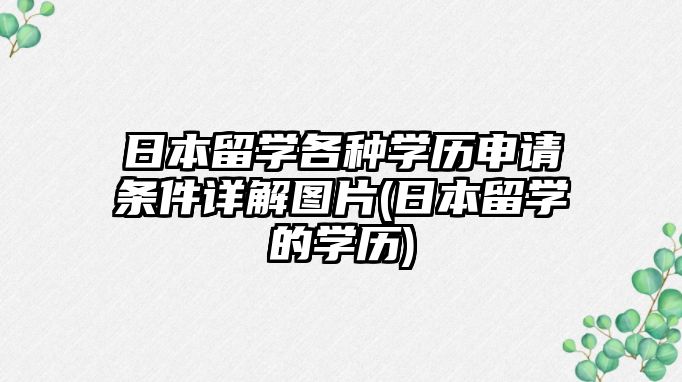 日本留學(xué)各種學(xué)歷申請(qǐng)條件詳解圖片(日本留學(xué)的學(xué)歷)