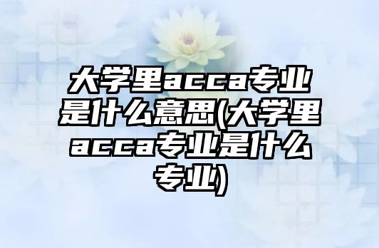 大學里acca專業(yè)是什么意思(大學里acca專業(yè)是什么專業(yè))