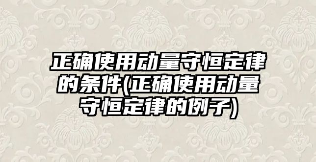 正確使用動量守恒定律的條件(正確使用動量守恒定律的例子)