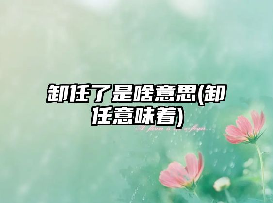 卸任了是啥意思(卸任意味著)