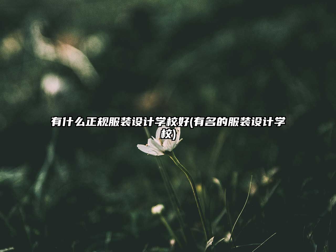 有什么正規(guī)服裝設(shè)計學(xué)校好(有名的服裝設(shè)計學(xué)校)