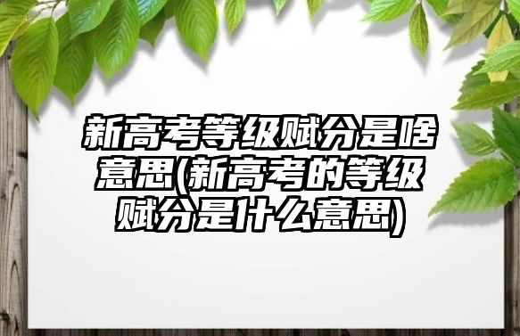 新高考等級賦分是啥意思(新高考的等級賦分是什么意思)