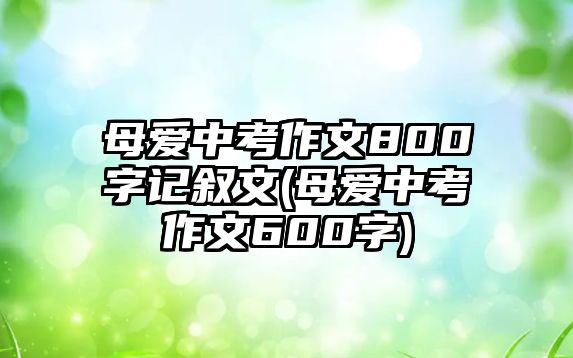 母愛中考作文800字記敘文(母愛中考作文600字)