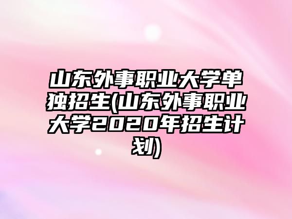 山東外事職業(yè)大學(xué)單獨(dú)招生(山東外事職業(yè)大學(xué)2020年招生計(jì)劃)