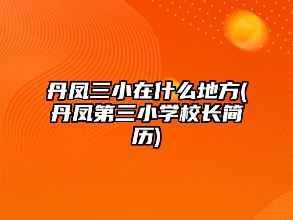 丹鳳三小在什么地方(丹鳳第三小學(xué)校長簡歷)