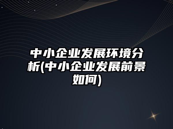 中小企業(yè)發(fā)展環(huán)境分析(中小企業(yè)發(fā)展前景如何)