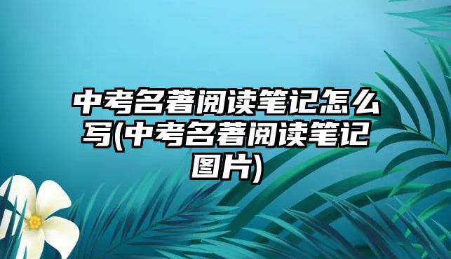 中考名著閱讀筆記怎么寫(中考名著閱讀筆記圖片)