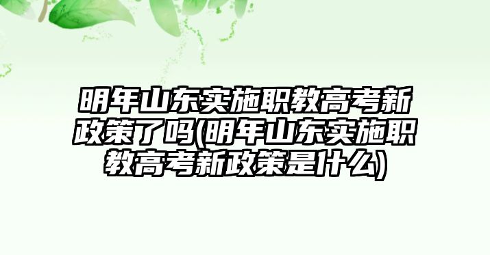 明年山東實施職教高考新政策了嗎(明年山東實施職教高考新政策是什么)