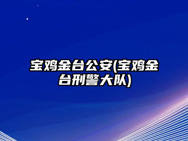 寶雞金臺(tái)公安(寶雞金臺(tái)刑警大隊(duì))