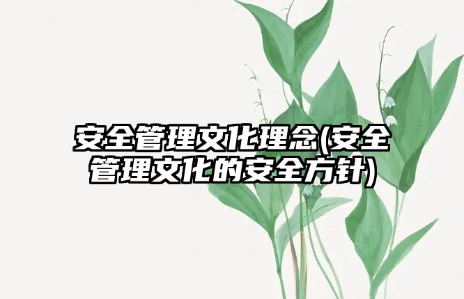 安全管理文化理念(安全管理文化的安全方針)