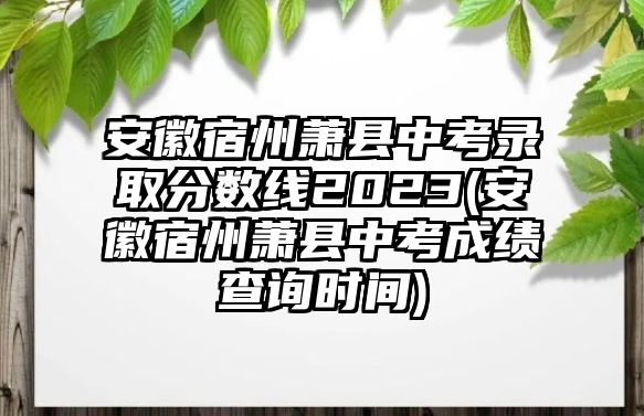 安徽宿州蕭縣中考錄取分數線2023(安徽宿州蕭縣中考成績查詢時間)