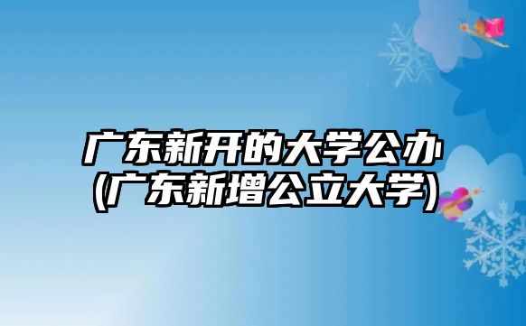 廣東新開的大學公辦(廣東新增公立大學)