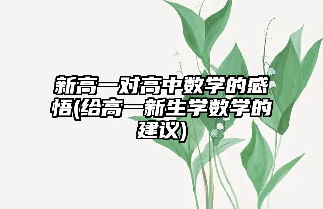 新高一對高中數(shù)學的感悟(給高一新生學數(shù)學的建議)