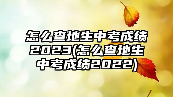 怎么查地生中考成績(jī)2023(怎么查地生中考成績(jī)2022)