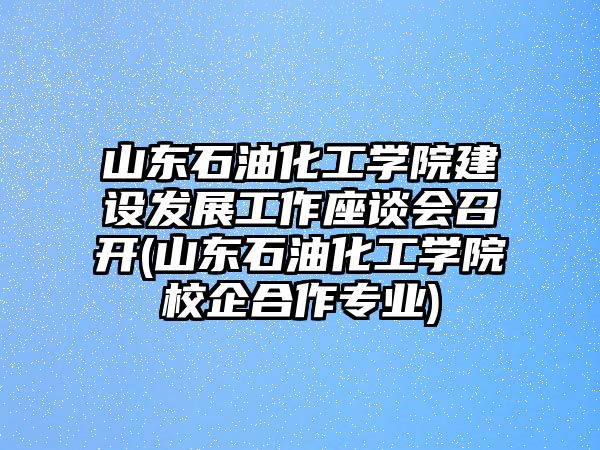 山東石油化工學院建設發(fā)展工作座談會召開(山東石油化工學院校企合作專業(yè))