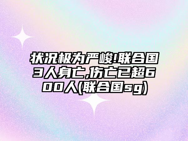 狀況極為嚴峻!聯合國3人身亡,傷亡已超600人(聯合國sg)