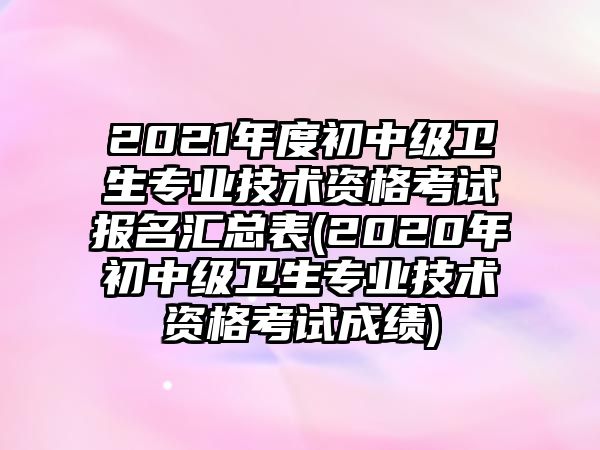 2021年度初中級(jí)衛(wèi)生專(zhuān)業(yè)技術(shù)資格考試報(bào)名匯總表(2020年初中級(jí)衛(wèi)生專(zhuān)業(yè)技術(shù)資格考試成績(jī))